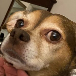 Meet your Posher, Malissa